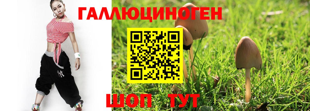 Псилоцибиновые грибы Psilocybine cubensis Гагарин
